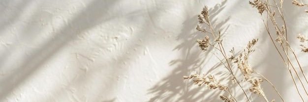 nalaesya's profile banner image