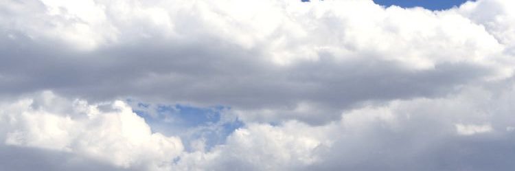 kmechum's profile banner image