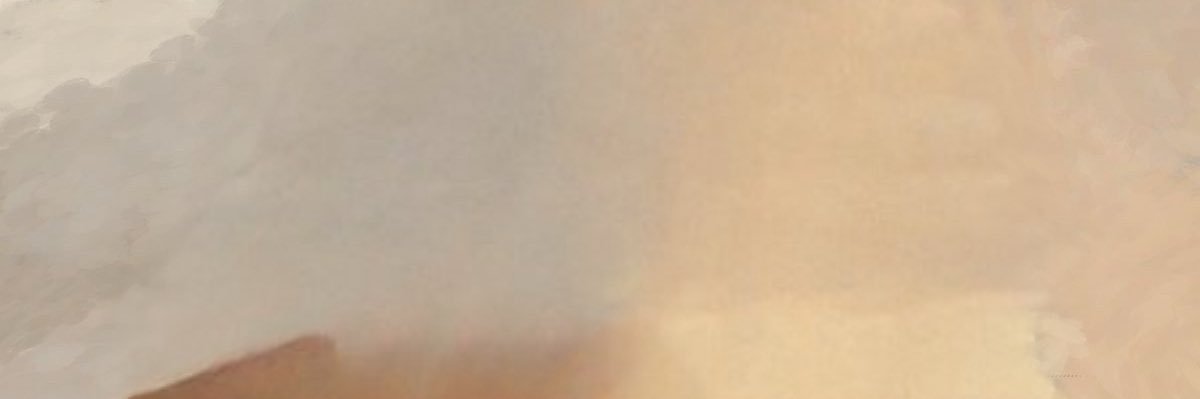 shwahud's profile banner image