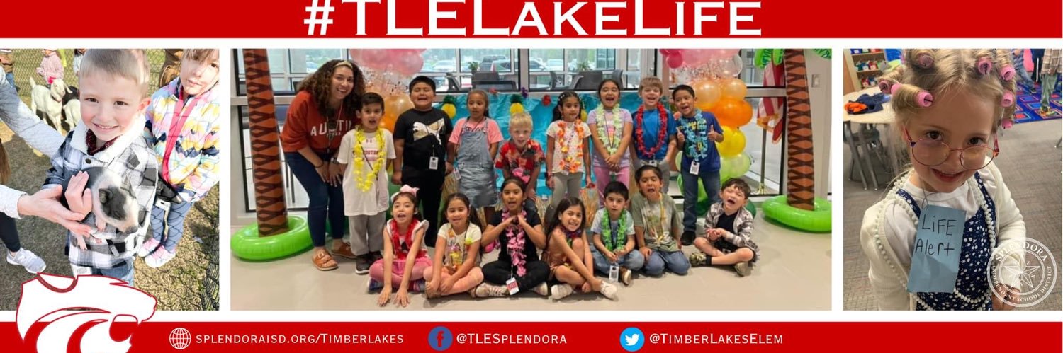 Timber Lakes Elementary banner