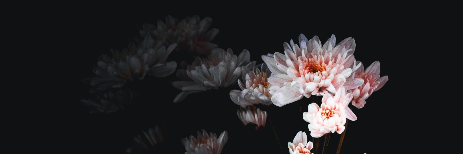 happyrainysoul's profile banner image