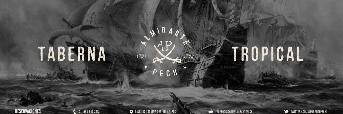 AlmirantePech's profile banner image