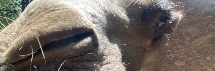 fiac_ack's profile banner image