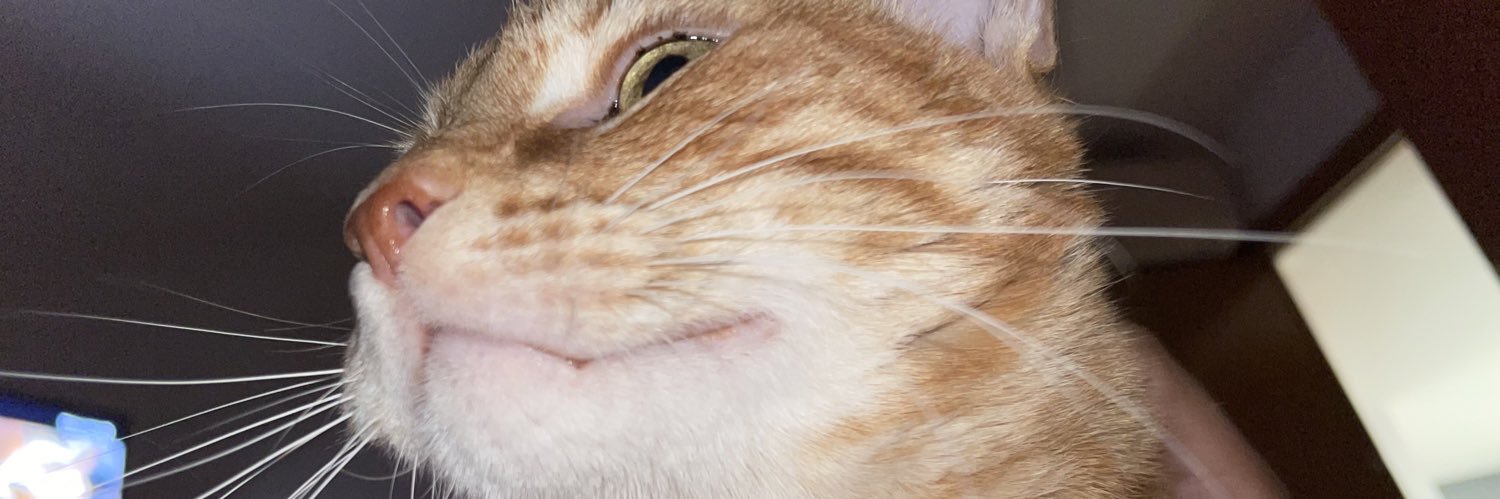 asgorre's profile banner image