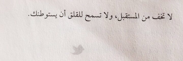 luluhhad's profile banner image