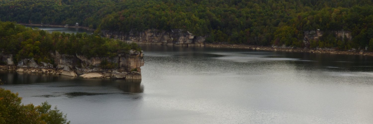 Elena Goncharova banner