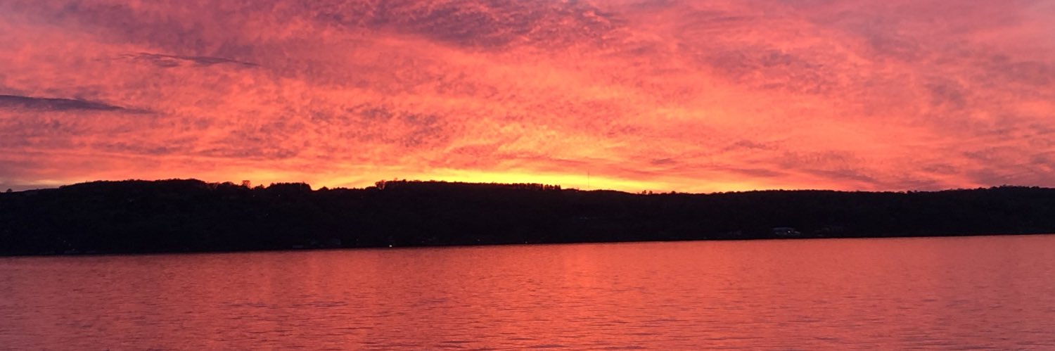 Michelle Prong banner