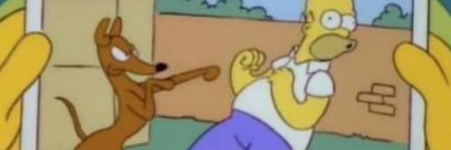 amothibutterlfy banner