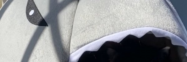 EeviesHouse Profile Banner