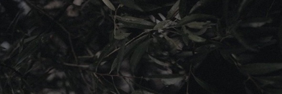 — 𝓖𝐑𝐄𝐆𝐎𝐑𝐘. banner