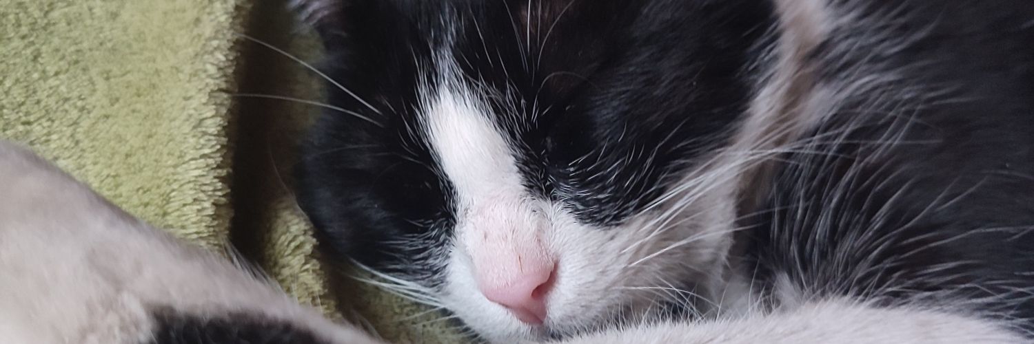 justlittlethin7's profile banner image