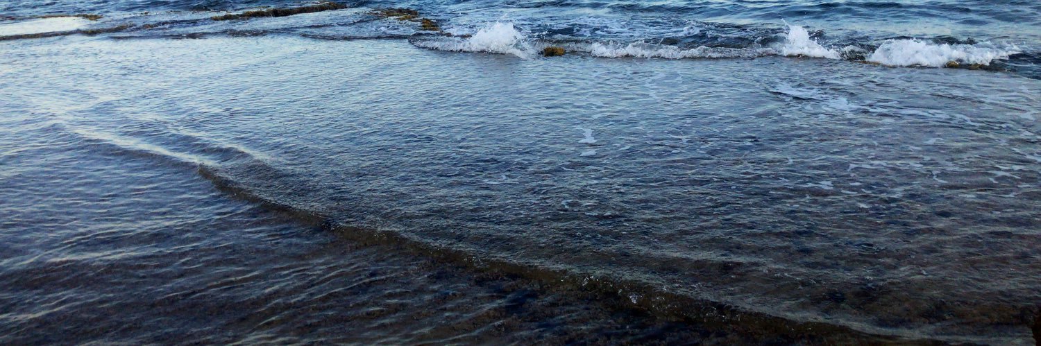 Andrés Estañ banner