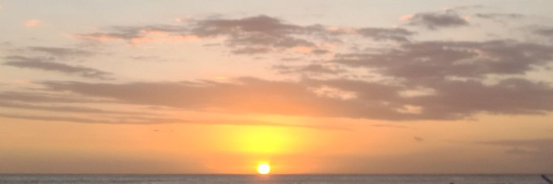 ne_neee's profile banner image