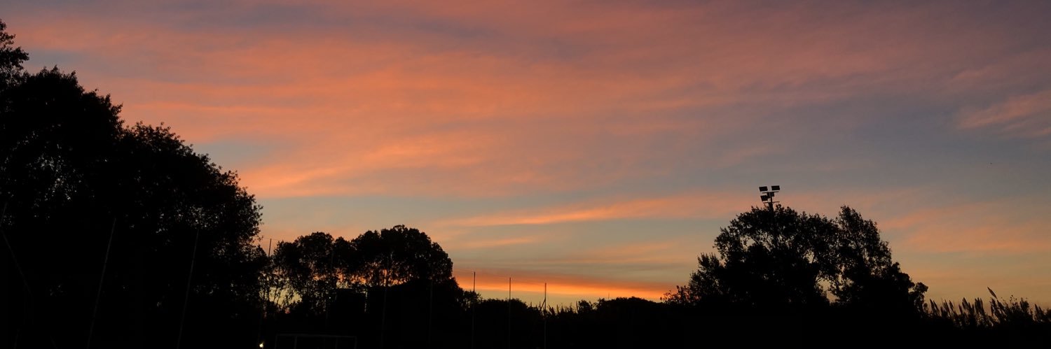 tereemangold's profile banner image