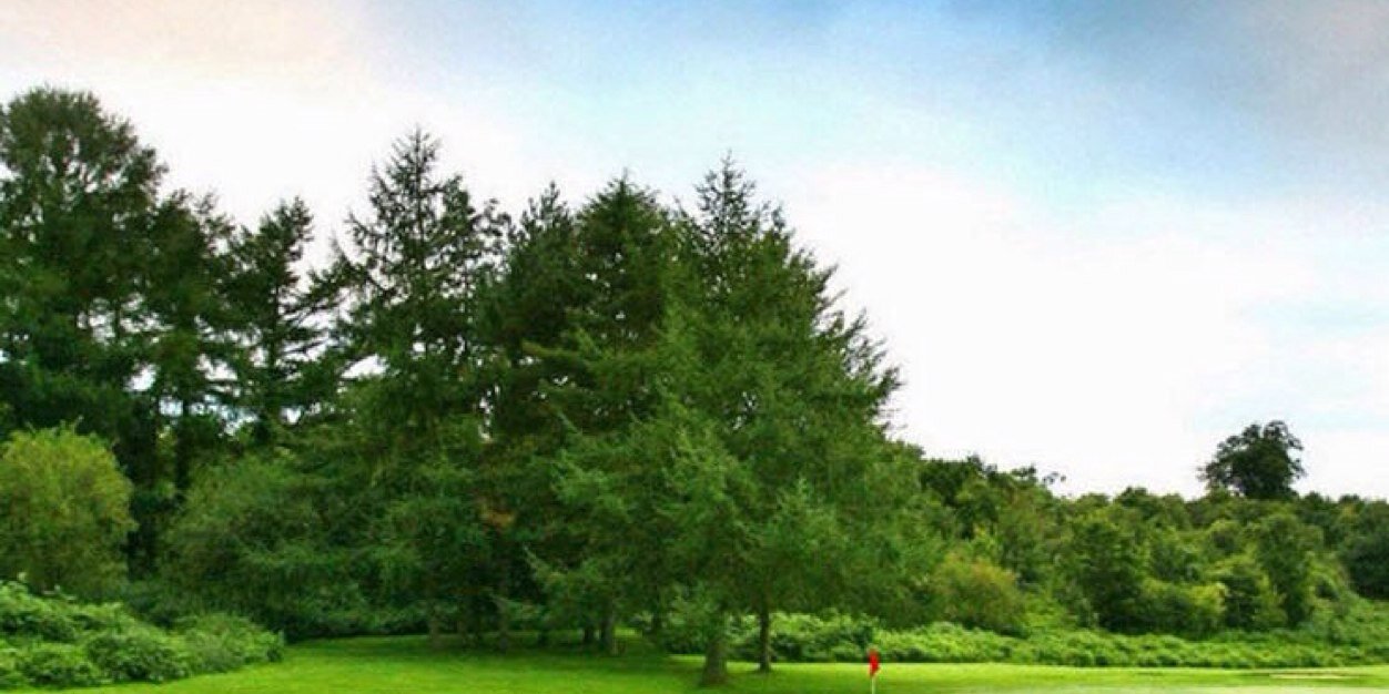 salafy_adeeb's profile banner image