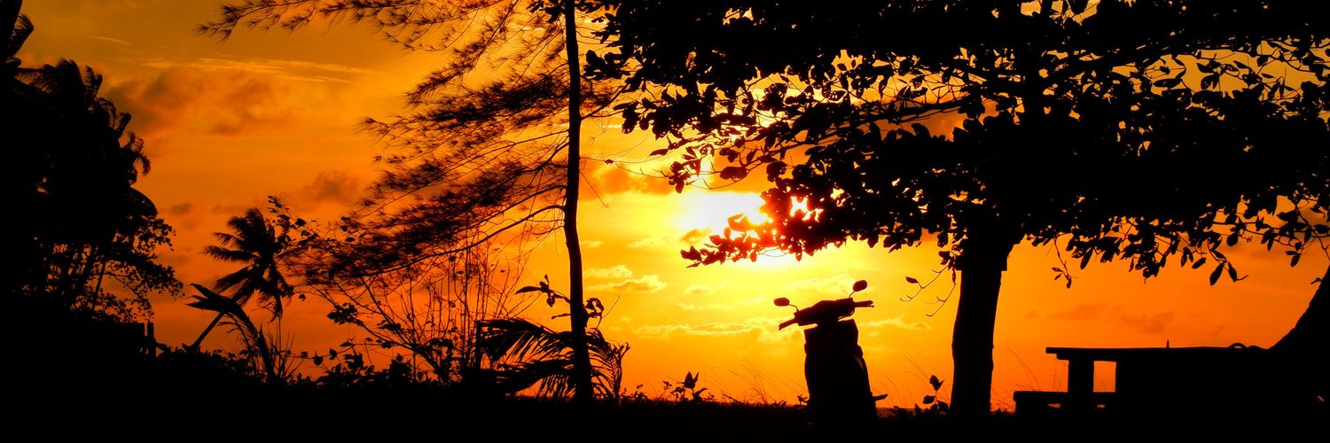 Sayundi's profile banner image