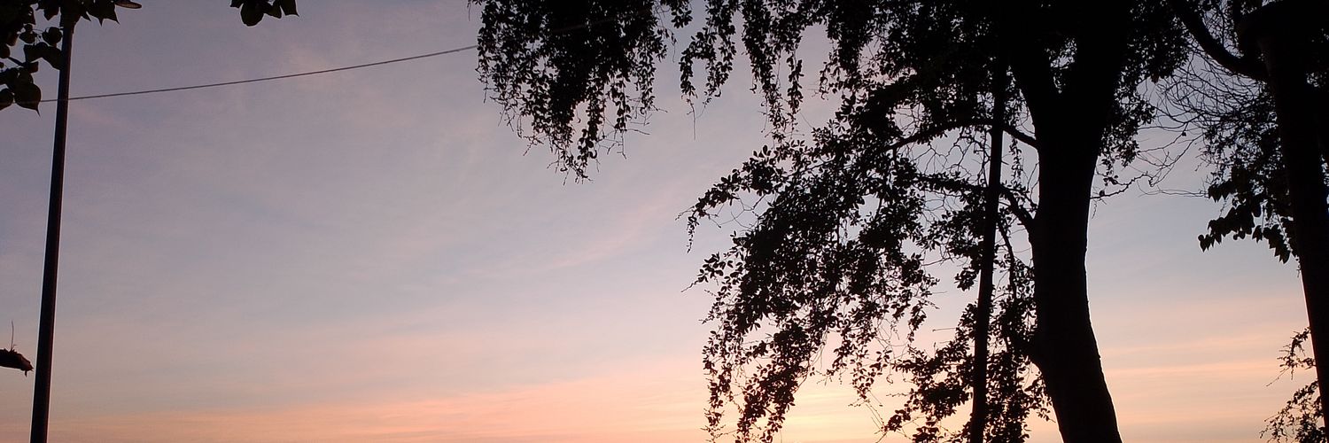 iceicein2's profile banner image