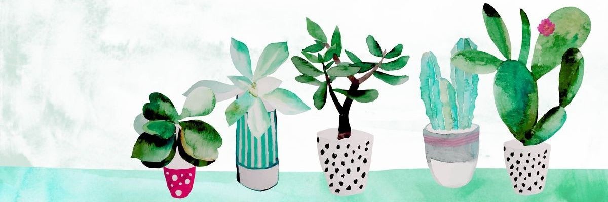tracesofkaye's profile banner image