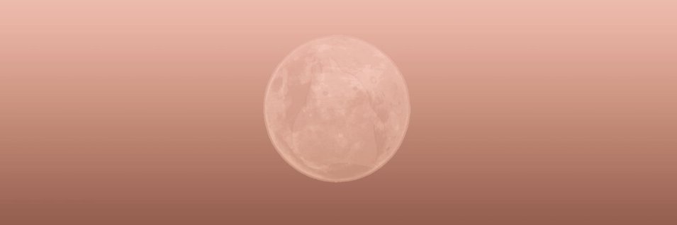 Lu banner