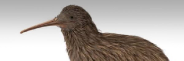 alissical Profile Banner