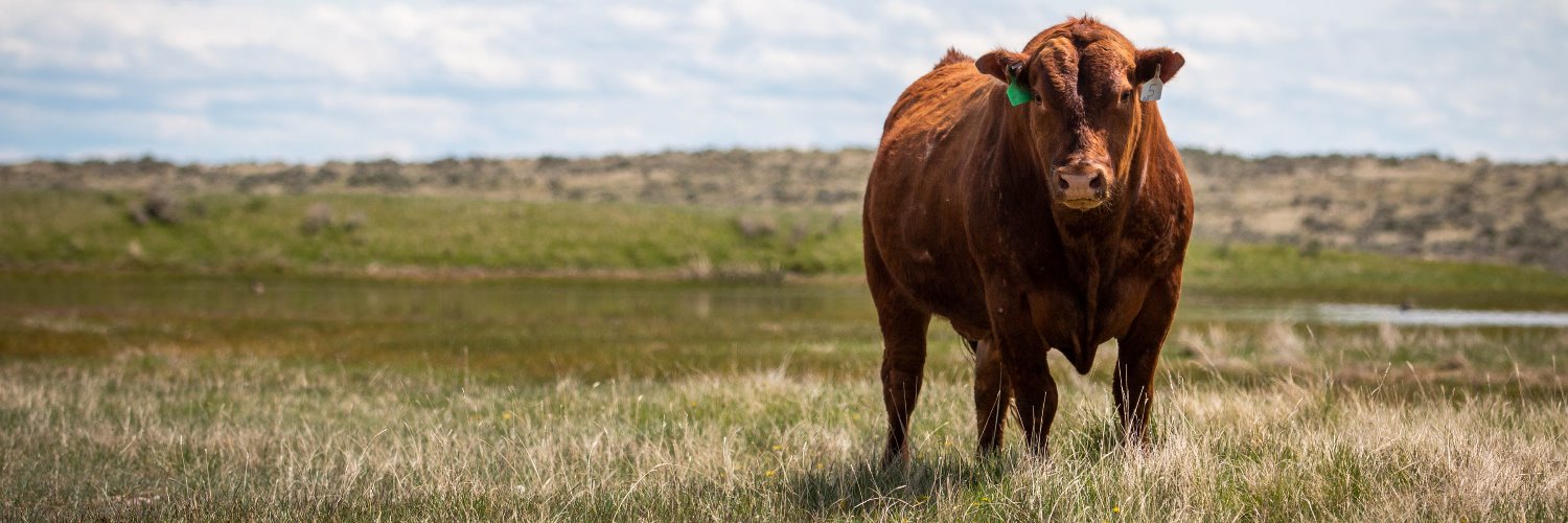 Ranchers Stewardship Alliance banner