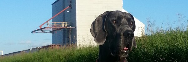 Gcoopsmussi Profile Banner