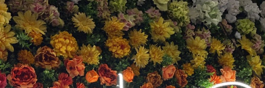 cdotsadams's profile banner image