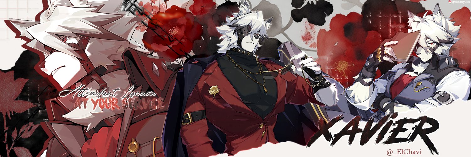 Xᴀᴠɪᴇʀ 光 • 🇻🇪 banner