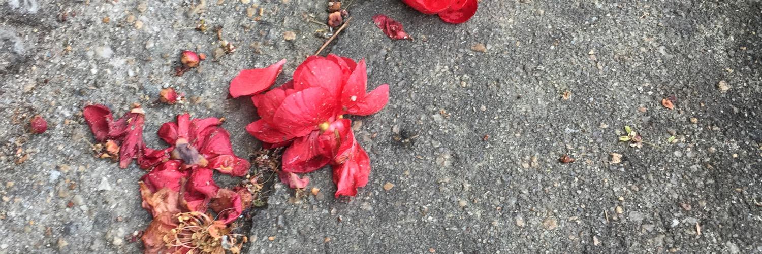 jeroh35's profile banner image