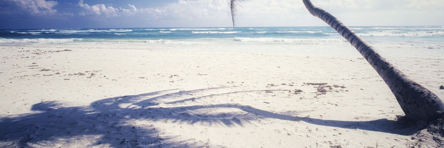 Bad_Ashley's profile banner image