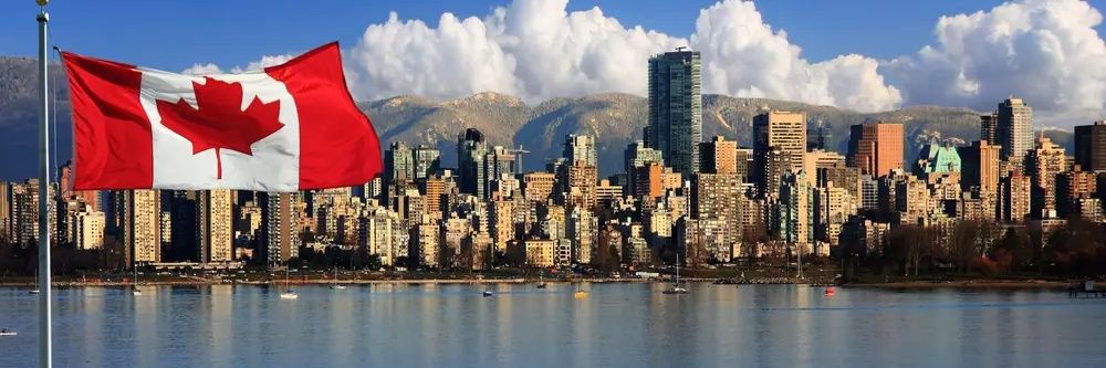 Internet_Zombie banner