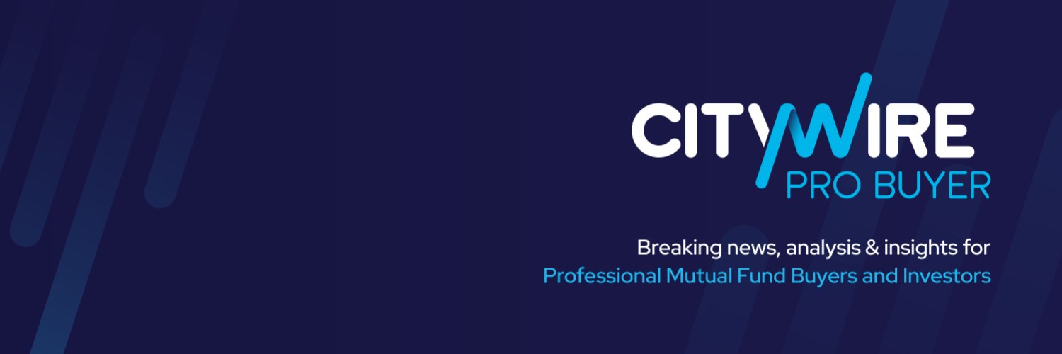 Citywire Pro Buyer banner