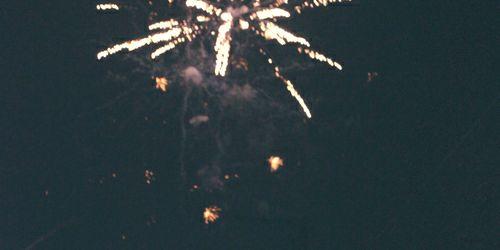 Bitter_Lace's profile banner image