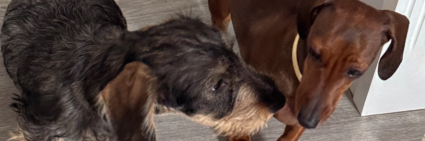 𝐀𝐦𝐨𝐫 𝐌𝐚́𝐫𝐪𝐮𝐞𝐳 banner