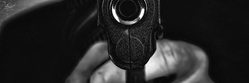 Nothing but the truth banner