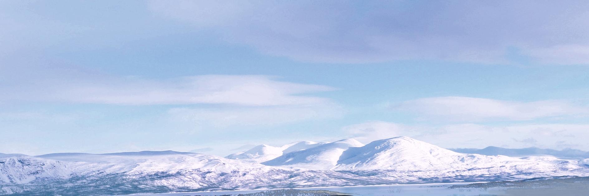 禿道道🐟 banner