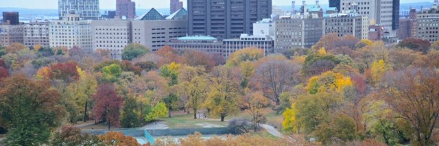 centralparkten's profile banner image