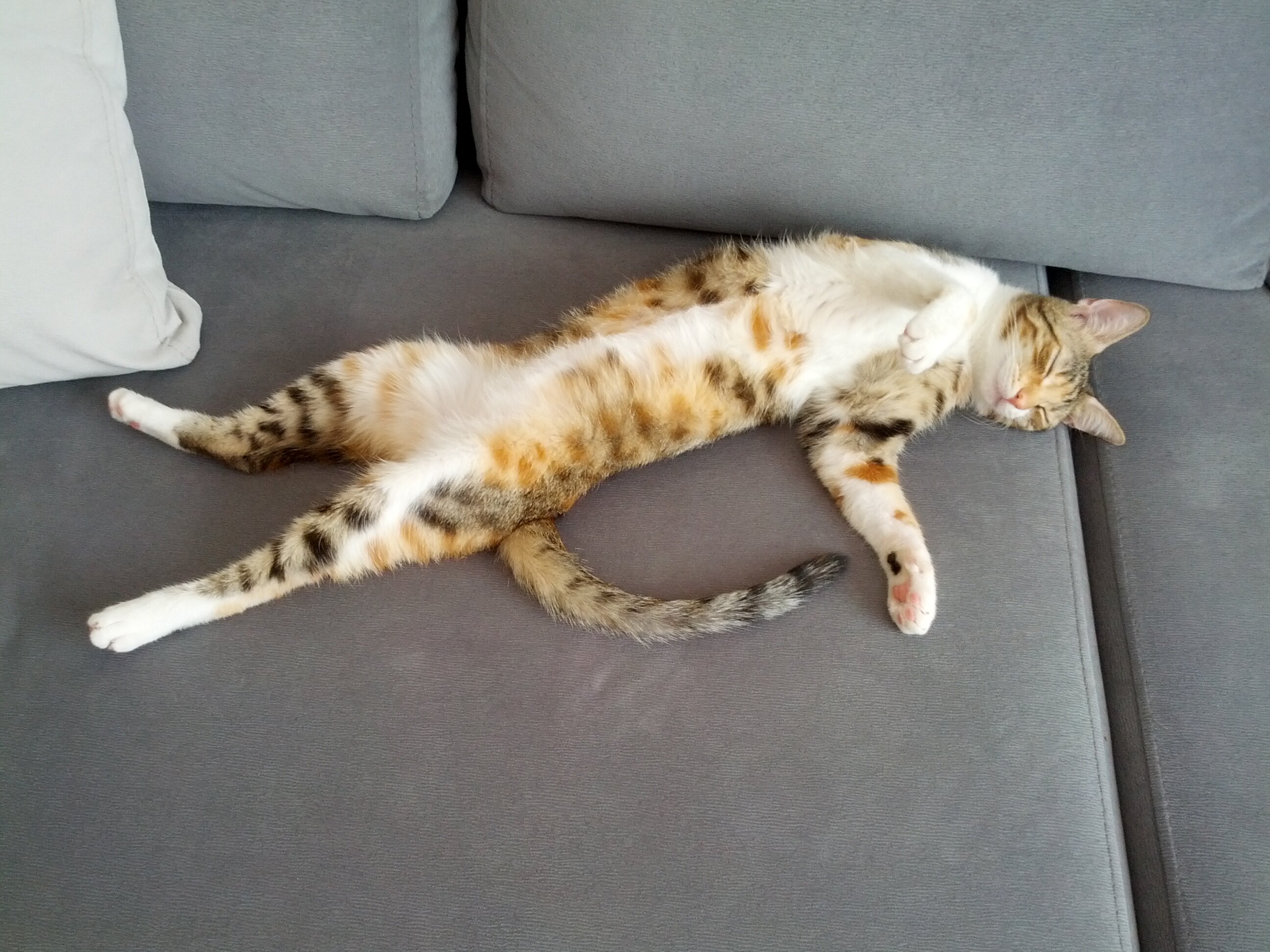 Baran Toppare 🧟‍♂️ banner