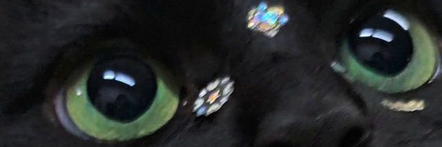 delusional1996's profile banner image