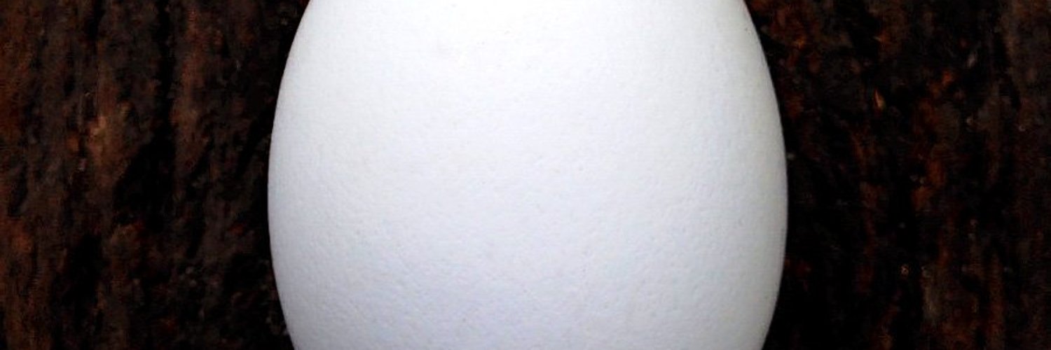 返事のないただの名無し banner