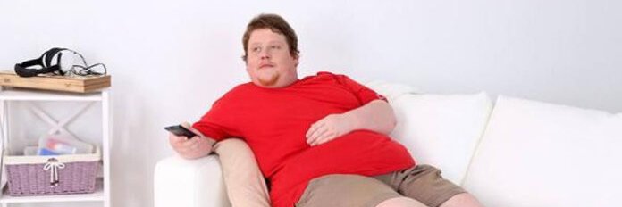 El León Ramón banner