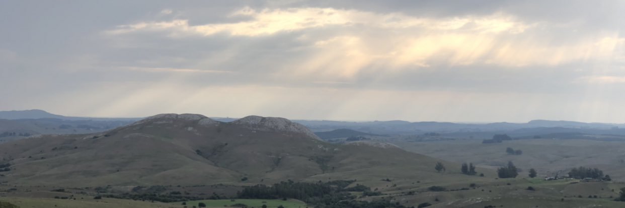 ChadBriela's profile banner image