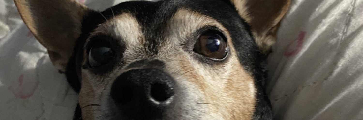 omeletteMe3's profile banner image