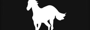 nahuelpatrick's profile banner image