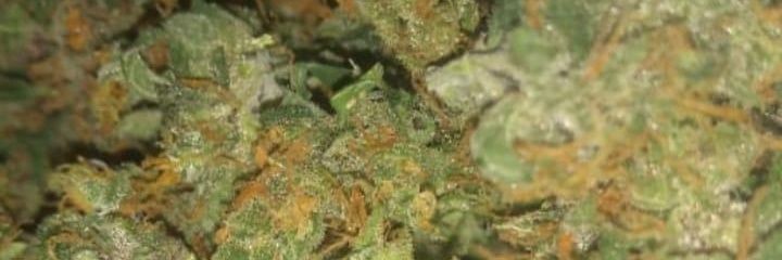 DrugsMo's profile banner image