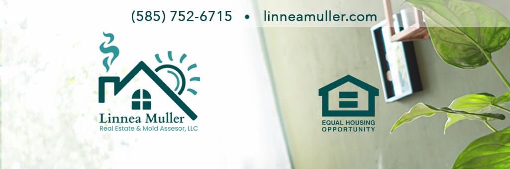 LinneaMuller01's profile banner image