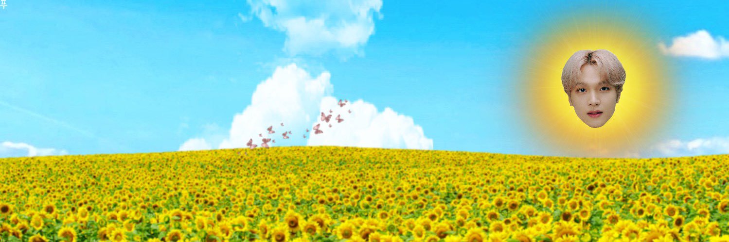 chocco606's profile banner image