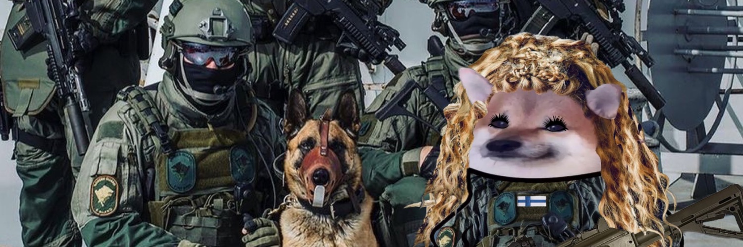 MsRandomFinn's profile banner image