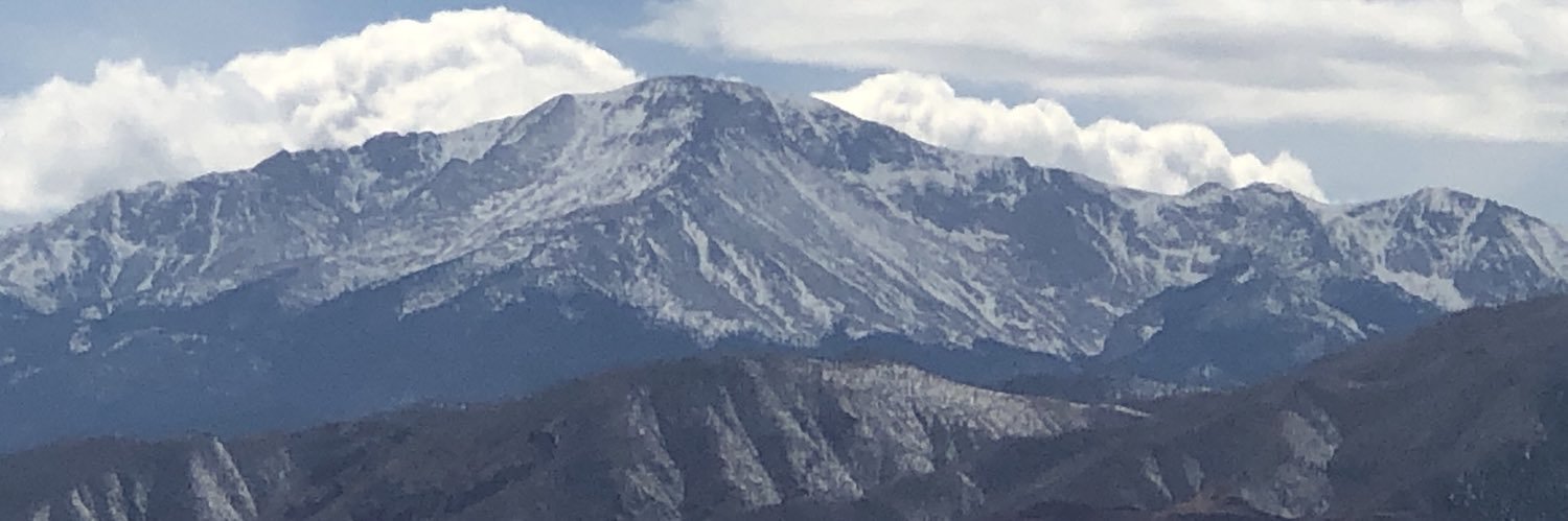 Sheleea Leonard banner