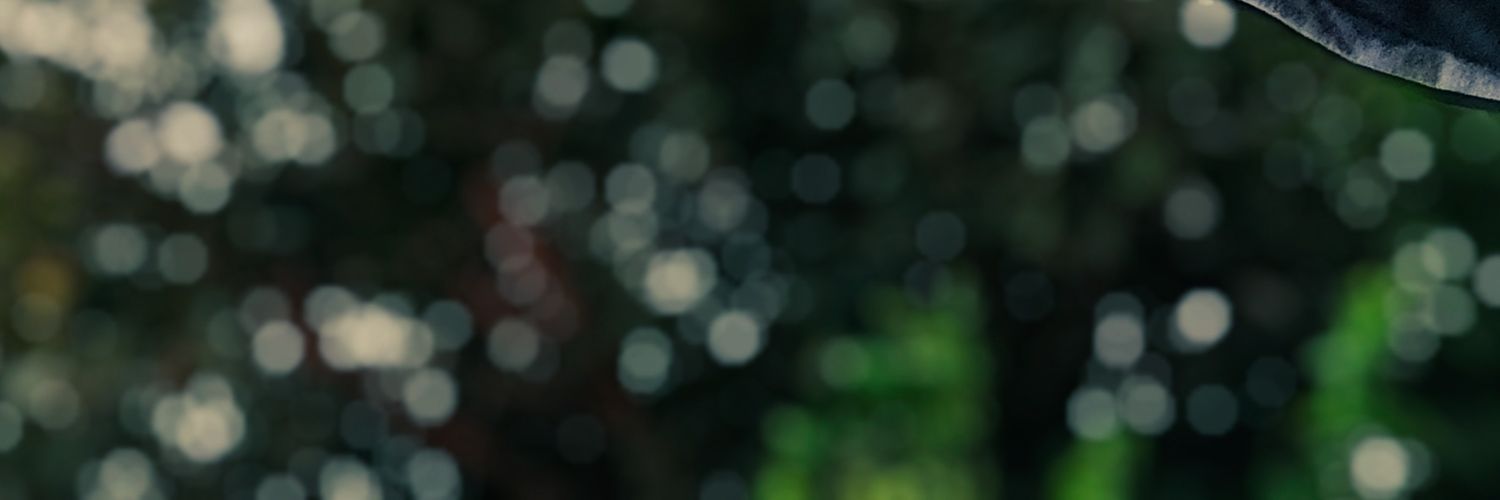 VcINT😀 banner